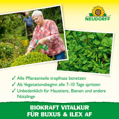 Neudorff BioKraft Vitalkur für Buxus & Ilex AF