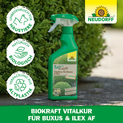 Neudorff BioKraft Vitalkur für Buxus & Ilex AF