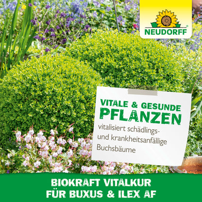 Neudorff BioKraft Vitalkur für Buxus & Ilex AF