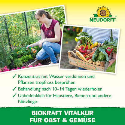 Neudorff BioKraft Vitalkur für Obst & Gemüse