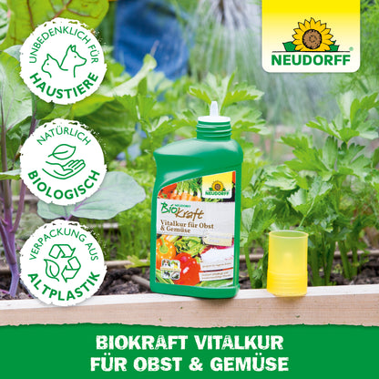 Neudorff BioKraft Vitalkur für Obst & Gemüse