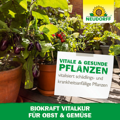 Neudorff BioKraft Vitalkur für Obst & Gemüse