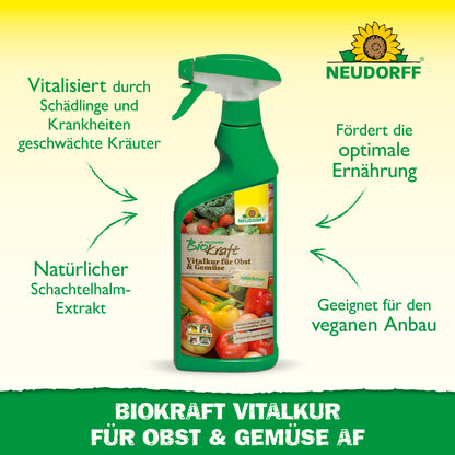 Neudorff BioKraft Vitalkur für Obst & Gemüse AF