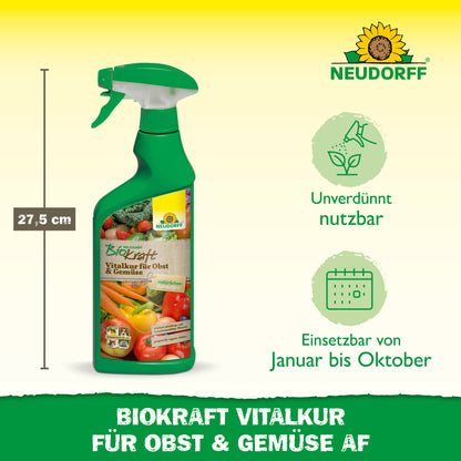 Neudorff BioKraft Vitalkur für Obst & Gemüse AF