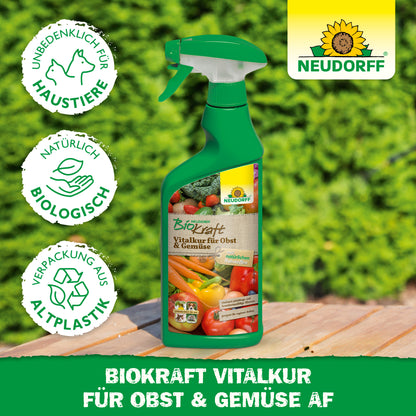 Neudorff BioKraft Vitalkur für Obst & Gemüse AF