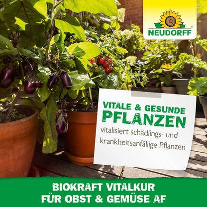 Neudorff BioKraft Vitalkur für Obst & Gemüse AF