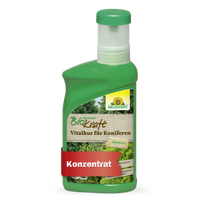 Neudorff BioKraft Vitalkur für Koniferen