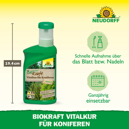 Neudorff BioKraft Vitalkur für Koniferen