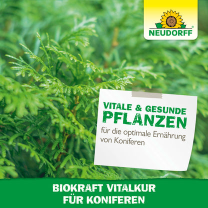 Neudorff BioKraft Vitalkur für Koniferen