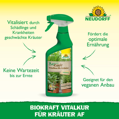 Neudorff BioKraft Vitalkur für Kräuter AF