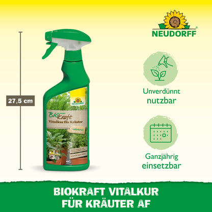 Neudorff BioKraft Vitalkur für Kräuter AF