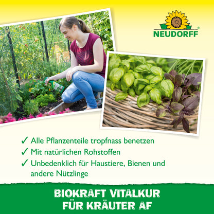 Neudorff BioKraft Vitalkur für Kräuter AF