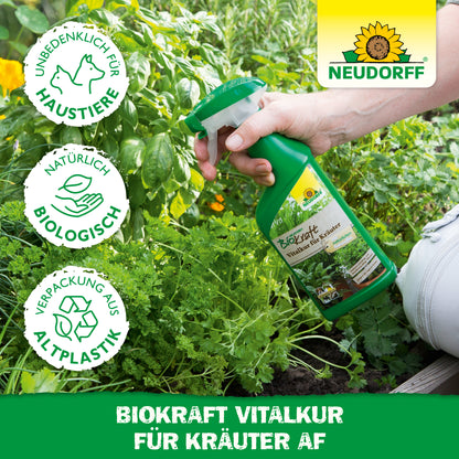 Neudorff BioKraft Vitalkur für Kräuter AF