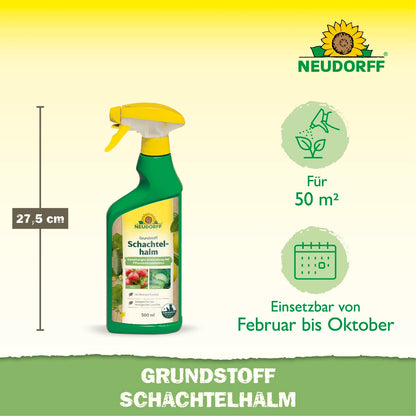 Grundstoff Schachtelhalm