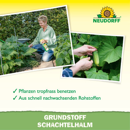 Grundstoff Schachtelhalm