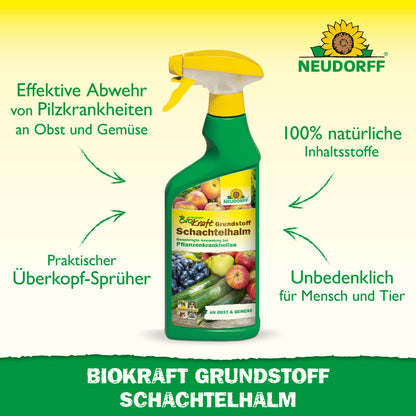 Neudorff BioKraft Grundstoff Schachtelhalm