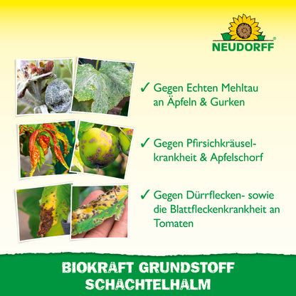 Neudorff BioKraft Grundstoff Schachtelhalm