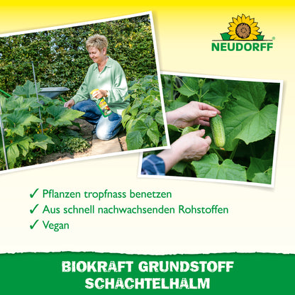 Neudorff BioKraft Grundstoff Schachtelhalm