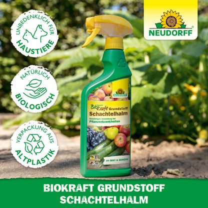 Neudorff BioKraft Grundstoff Schachtelhalm