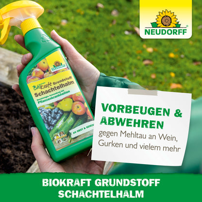 Neudorff BioKraft Grundstoff Schachtelhalm