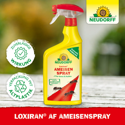 Loxiran AF AmeisenSpray