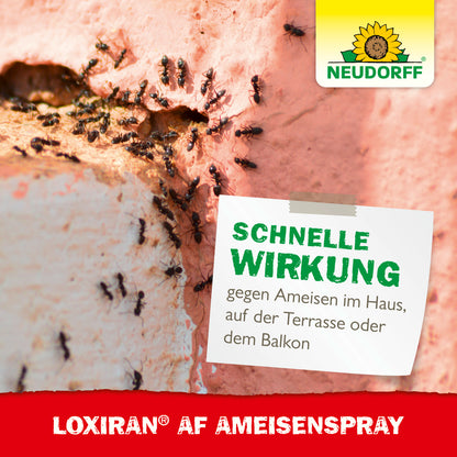 Loxiran AF AmeisenSpray