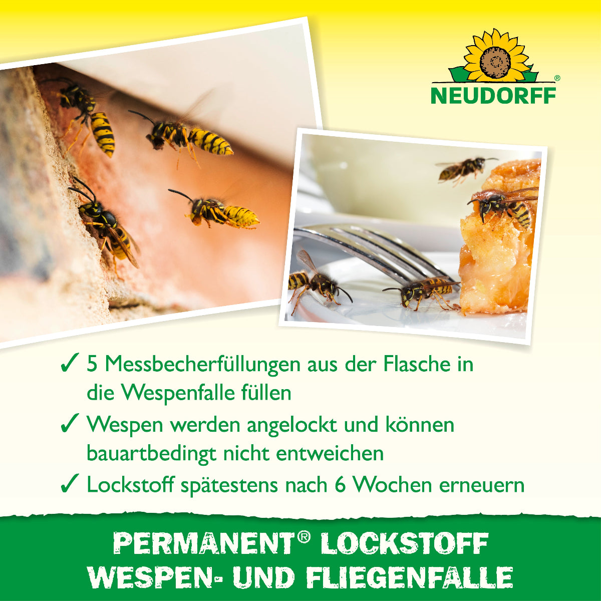 Bilder von Wespen an Hauswand und Kuchen, darunter 3 Checkpunkte zur Funktion und Anwendung des Produktes 