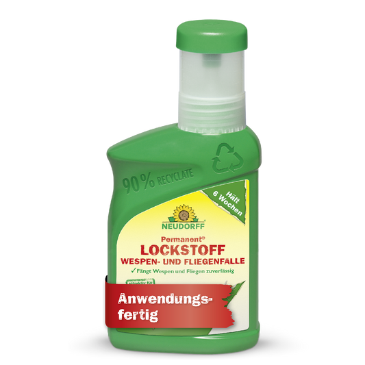 Permanent Lockstoff Wespen- und Fliegenfalle