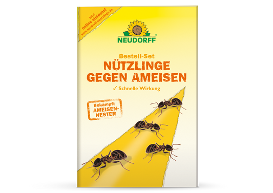 Bestell-Set Nützlinge gegen Ameisen