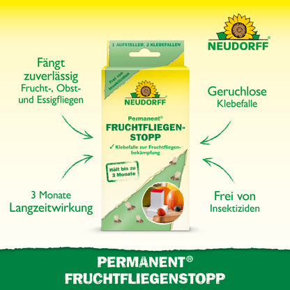 Permanent FruchtfliegenStopp