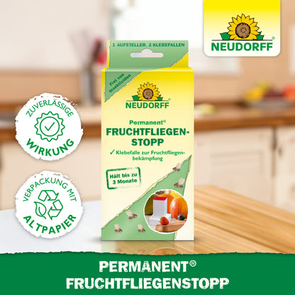 Permanent FruchtfliegenStopp