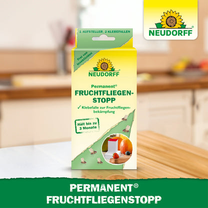 Permanent FruchtfliegenStopp