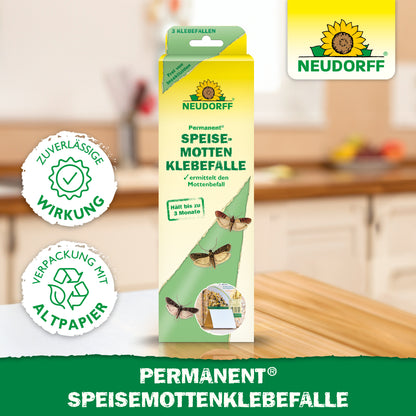 Permanent SpeisemottenKlebefalle