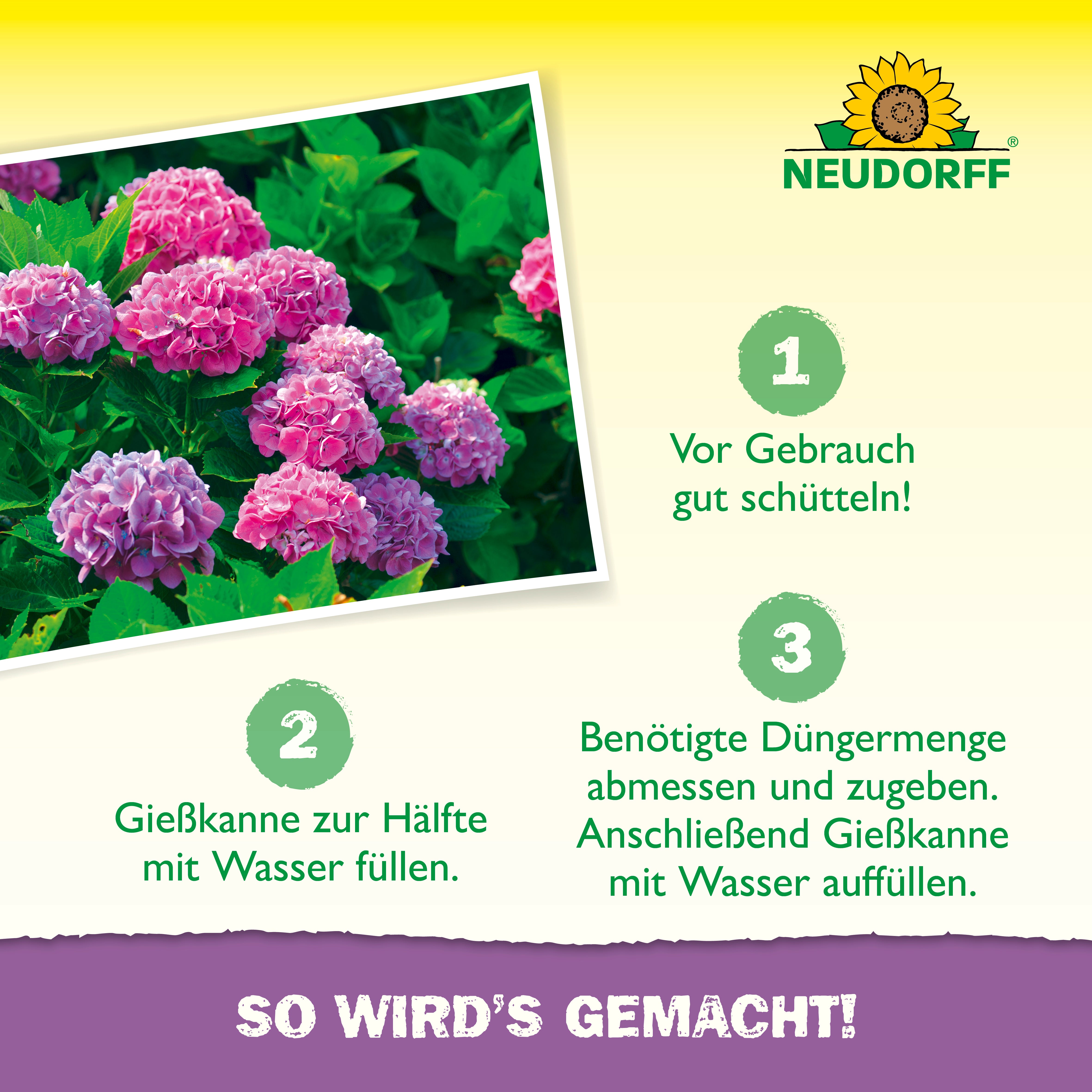 Colorante Per Ortensie Blu Concime Per Ortensie Allume Per