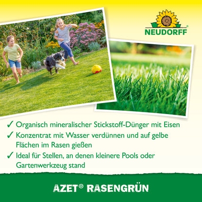 Azet RasenGrün