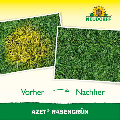 Azet RasenGrün