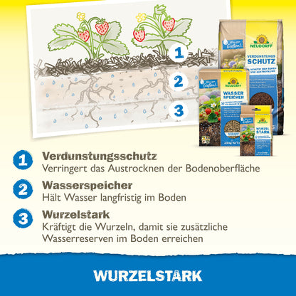 Neudorff Produkte für Pflanzen bei Trockenheit sind laut Grafik der Verdunstungsschutz (verringert das Austrocknen der Bodenoberfläche), der Wasserspeicher (hält Wasser langfristig im Boden) und Wurzelstark (kräftigt die Wurzeln, damit sie zusätzliche Wasserreserven im Boden erreichen)
