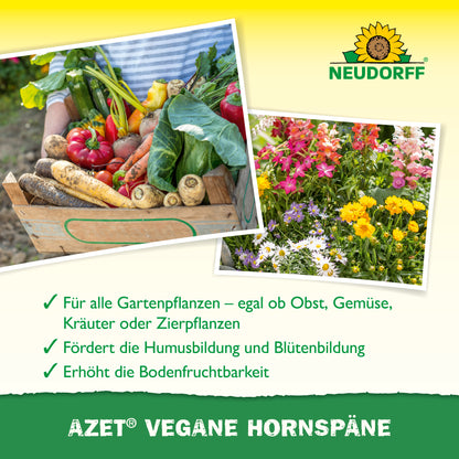 Azet Vegane Hornspäne