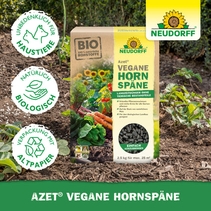 Azet Vegane Hornspäne