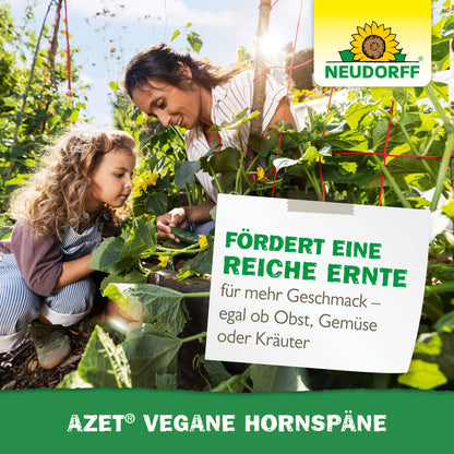 Azet Vegane Hornspäne