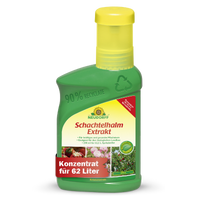 Schachtelhalm Extrakt