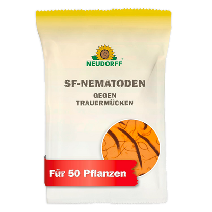 SF-Nematoden gegen Trauermücken