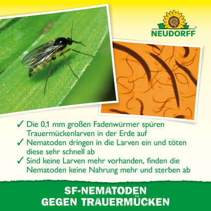 SF-Nematoden gegen Trauermücken