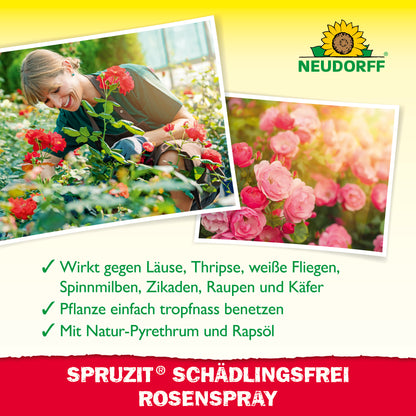 Spruzit Schädlingsfrei RosenSpray