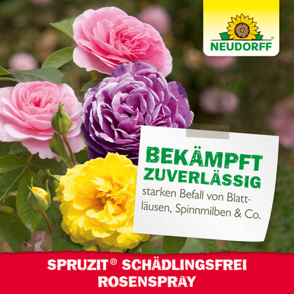 Spruzit Schädlingsfrei RosenSpray