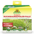 Neudomon BuchsbaumzünslerFalle