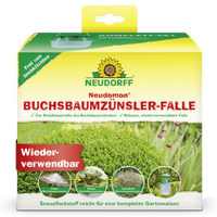 Neudomon BuchsbaumzünslerFalle