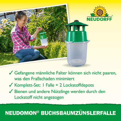 Neudomon BuchsbaumzünslerFalle