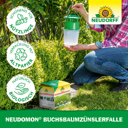 Neudomon BuchsbaumzünslerFalle