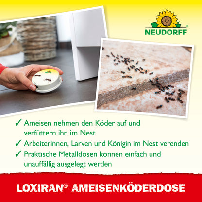 Loxiran AmeisenKöderdose